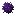 Sea Urchin
